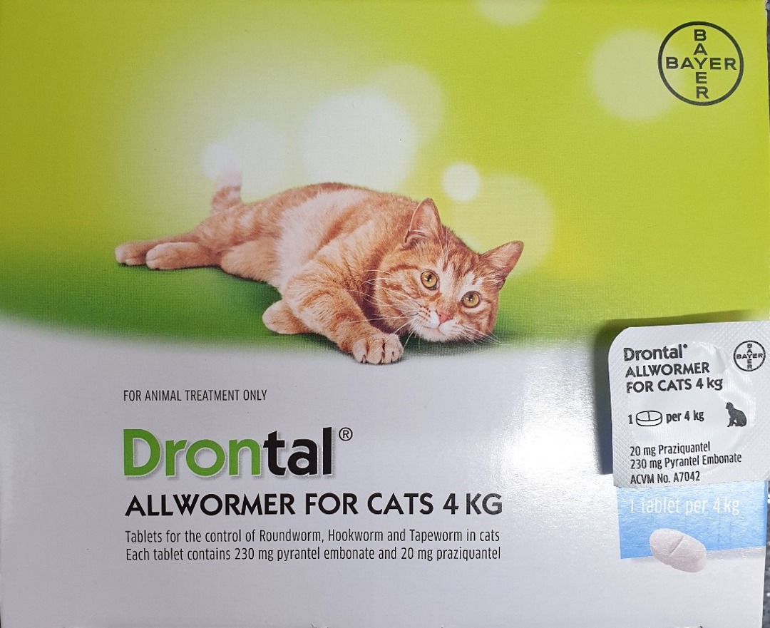 Drontal AllWormer for Cats 2-4kg / 1 Tablet image 0